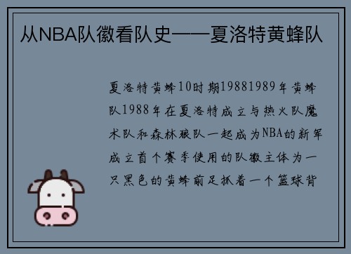 从NBA队徽看队史——夏洛特黄蜂队